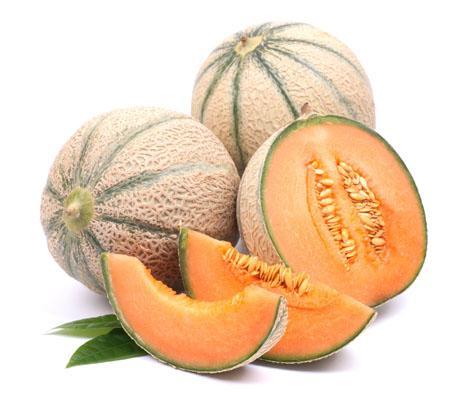 Melone (Cucumis melo), specie di probabile origine asiatica, coltivata per la prima volta in Asia occidentale o in Egitto, in un periodo molto