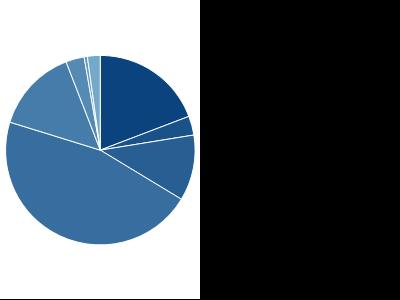 ASSET ALLOCATION Obbligazioni 79,50% Liquidita' 3,94% Altro -0,15% DISTRIBUZIONE RATING AAA 16,73% AA 2,83% A 9,78% BBB 40,16% BB 12,48% B 2,74%