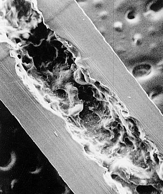 IL DIFFUSORE SHIN-ETSU un solido principio chimico-fisico Pareti del diffusore Diffusore appena applicato Diffusore a tubo capillare Diffusore dopo alcuni mesi Vista interna al microscopio digitale a
