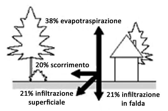 IMPATTO DELL URBANIZZAZIONE