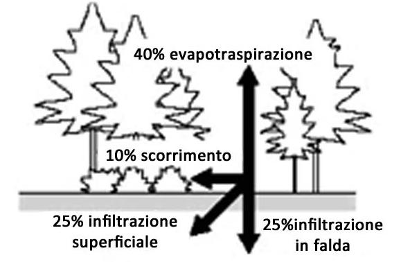 Minore evapotraspirazione 40%