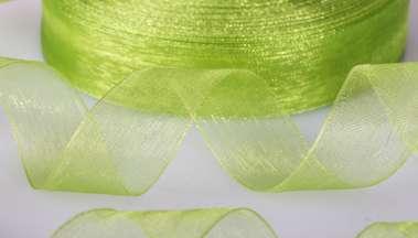 246 Organza Verde acqua