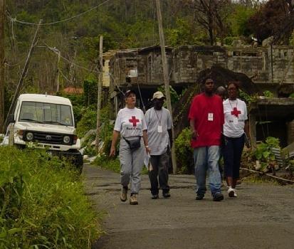 RDRT /RIT - Regional Disaster Response Teams Team regionalidellarc e MLR Formazionestandard Missioniregionali