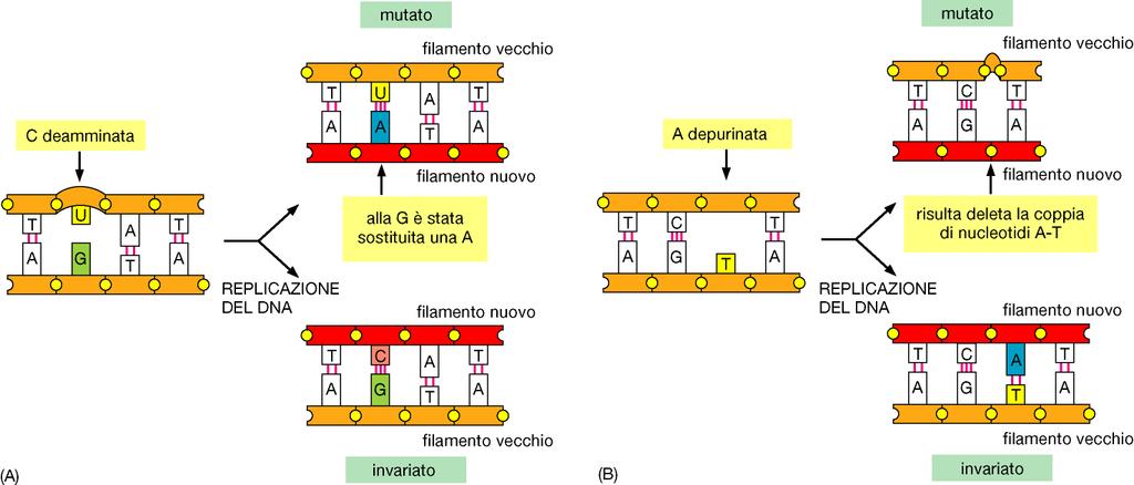 Se non riparate le modificazioni