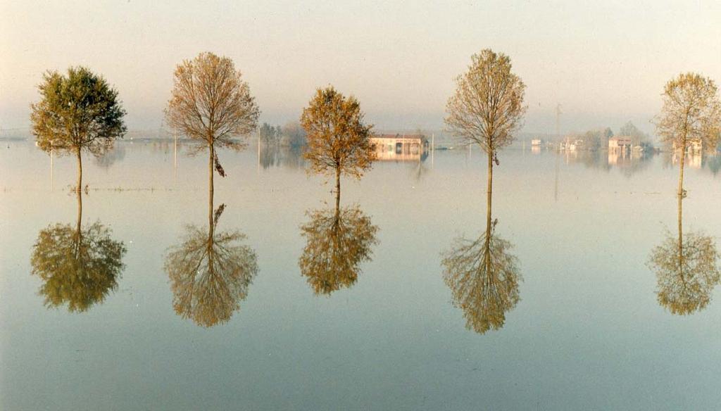 Specchio d acqua Visto che ci apprestiamo a celebrare il primo centenario della nascita di Giovannino Guareschi, cogliamo l occasione per riportare qui una splendida immagine fotografica realizzata