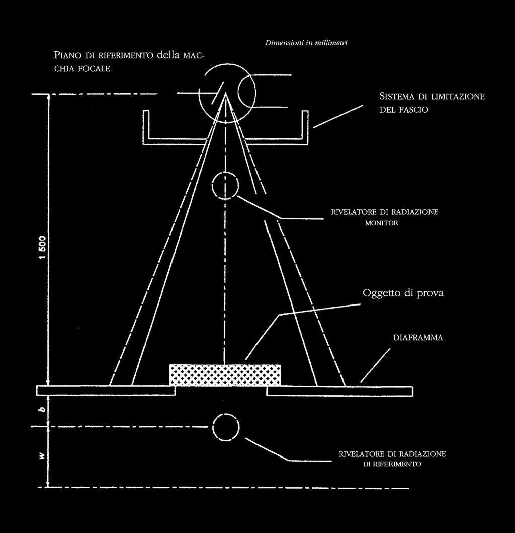 piombo sono stati utilizzati schermi di dimensioni 24x30 cm di vario spessore di mm di Pb (0.05, 0.10, 0.15 e 0.