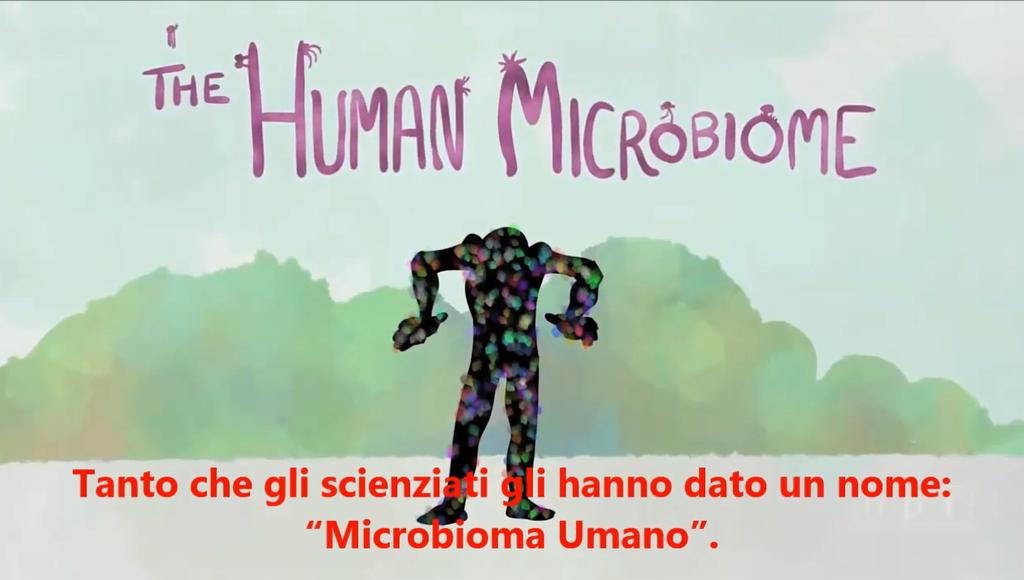 Il microbiota/microbioma 4 microbiota è l'insieme di microrganismi vero e