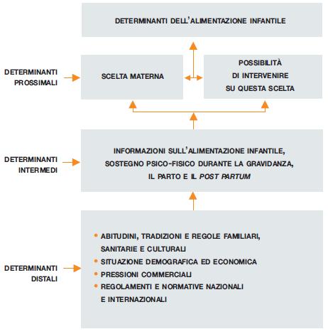 Determinanti dell allattamento Figura 1.