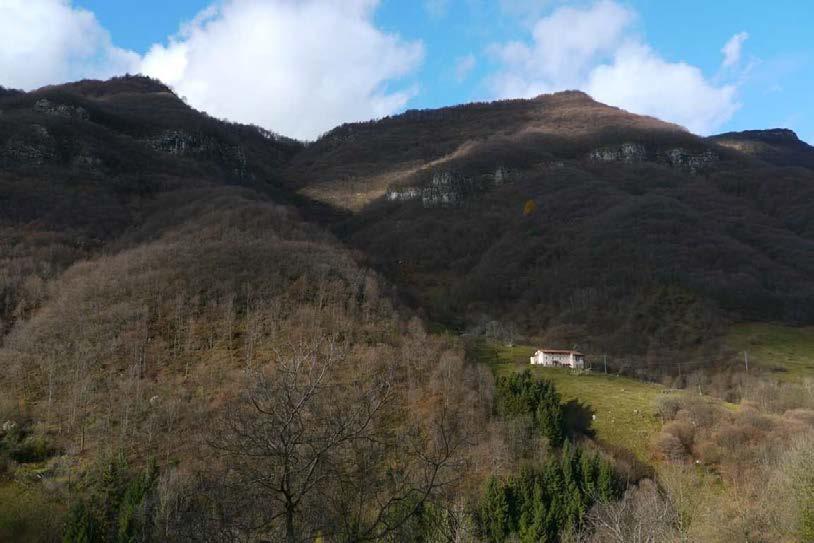 Il bosco nello spazio alpino Il bosco: una grande risorsa sottoutilizzata L Italia presenta il più basso tasso di utilizzazione del patrimonio forestale d Europa (rapporto tra utilizzazioni ed
