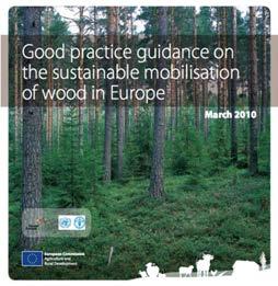 Una nuova visione strategica sui boschi Strategia forestale europea e mobilizzazione della risorsa legno Dopo un lungo periodo seguito alle gravi distruzioni dell ultimo periodo bellico e dopo aver