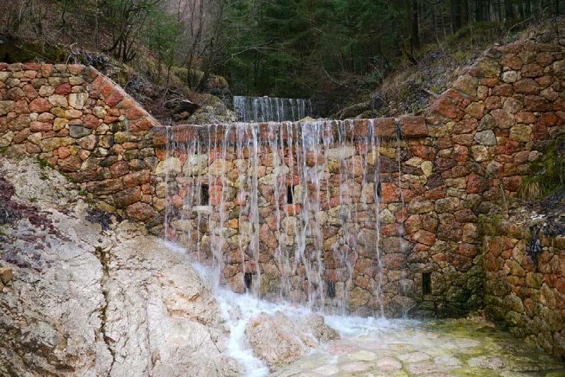 l evoluzione del ruolo delle FDR nel tempo In ogni epoca le Foreste Demaniali sono state