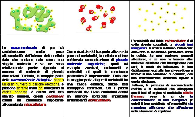 gov/books/nbk26844/figure /A2371/?report=objectonly http://www.ncbi.nlm.nih.