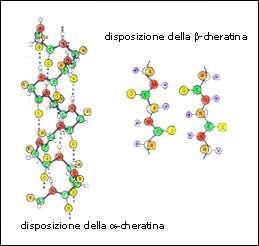 divise in due classi: