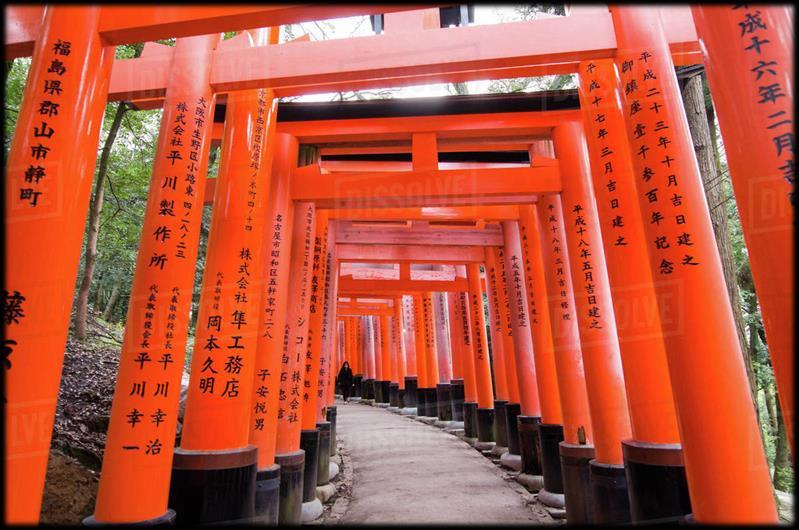 Nel pomeriggio proseguimento per Nara con sosta al santuario Fushimi-Inari, famoso per le sue migliaia di torii di colore rosso. Arrivo a Nara, visita al Todaiji temple e trasferimento in albergo.