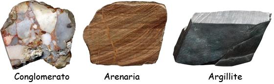 Le Rocce Sedimentarie Clastiche Sono formate da frammenti di altre rocce (clasti)