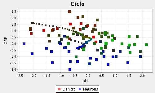 Evoluzione dei segnali Confronto con andamenti tipici memorizzati Rete SOM