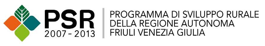 112 bollettino ufficiale della regione autonoma friuli venezia giulia 31 luglio 2013 31 13_31_3_GAR_DIR RIS RUR bando manifestazioni e prodotti locali_1_testo GAL Carso LAS Kras PROGRAMMA REGIONALE