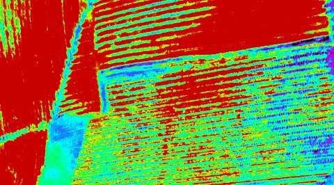 (AT) tramite processamento fotografia infrarossi scattata