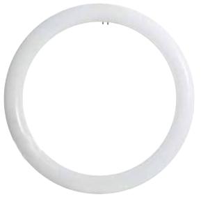 22,00 in eliminazione Circoline led / Linestra 39940315N 15 Lampada led circolina T9, Gq, 15W, 360, 4000K, 10LM, diam.2 cm.