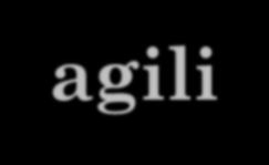 metodologie agili o comprimere il più possibile le fasi