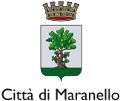 COMUNE DI MARANELLO Provincia di Modena ORDINANZA N.