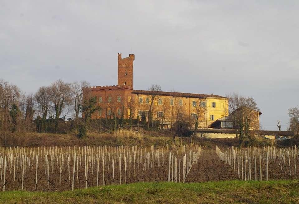 RICONOSCIMENTO UNESCO 2014 Paesaggi viticoli del Monferato, Langhe e Roero Grazie per l attenzione il paesaggio costituisce una risorsa favorevole
