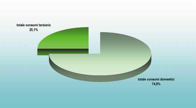 civile tra domestico e terziario Anno 2007