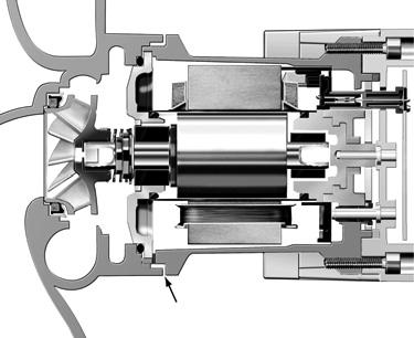 la verniciatura del corpo in cataforesi protegge il circiolatore dalla corrosione. MOTORE ELETTRICO Monofase 230V-50Hz Motore a rotore bagnato, cuscinetti lubrificati dal fluido pompato.