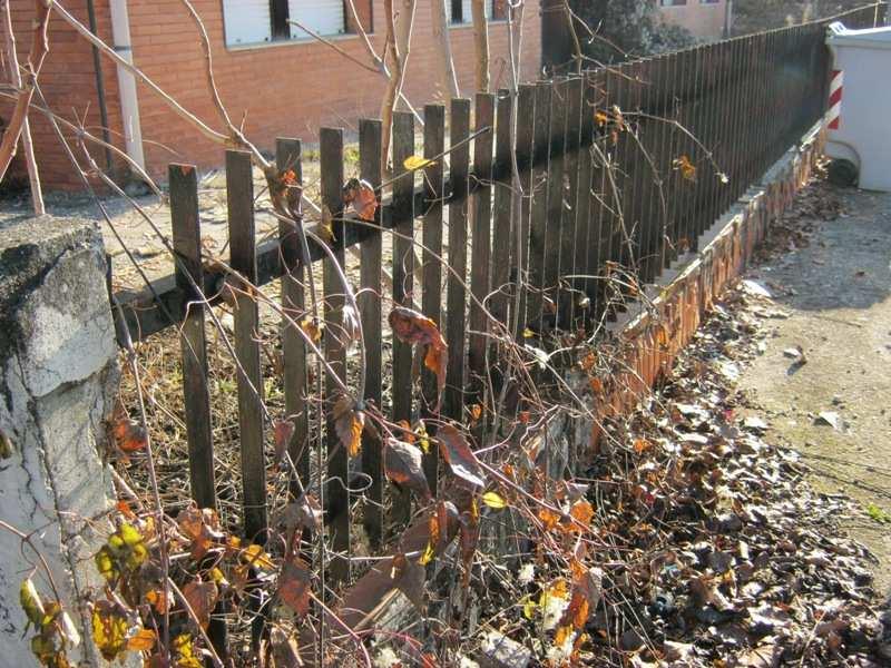 Foto 2 Particolare fotografico relativo alla recinzione perimetrale che delimita il giardino di pertinenza del fabbricato. 3.