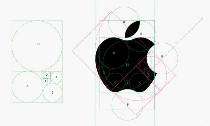 La sezione aurea A 1 4 8 B A:B = rapporto aureo Sviluppo geomterico del logo della Apple secondo le proporzioni