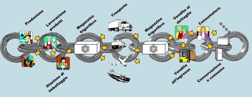 CATENA DEL FREDDO DEI SURGELATI DAL PUNTO DI PREPARAZIONE AL PUNTO DI CONSUMO