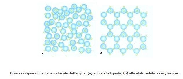 Densità In genere una sostanza allo stato solido è più densa che allo stato liquido ma non nel caso dell acqua che ha una densità minore allo stato solido.