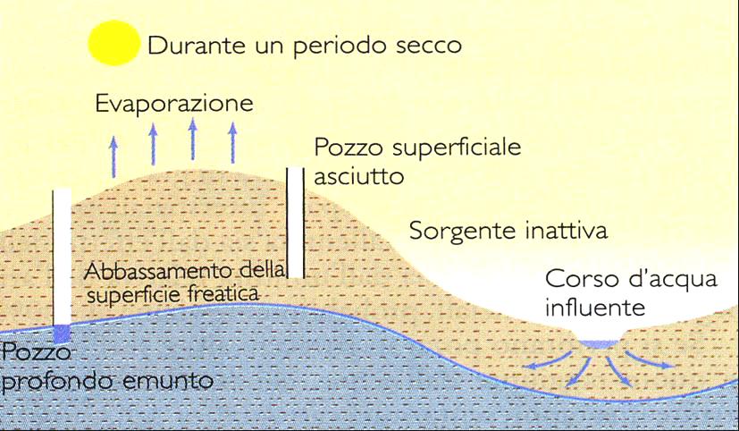 stagionali delle