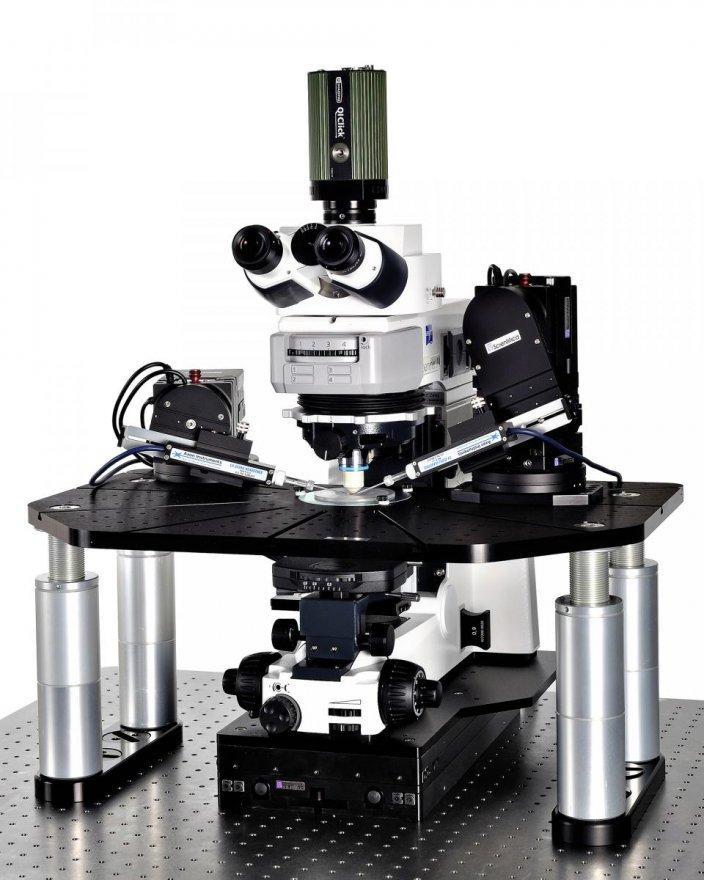 Microscopio e