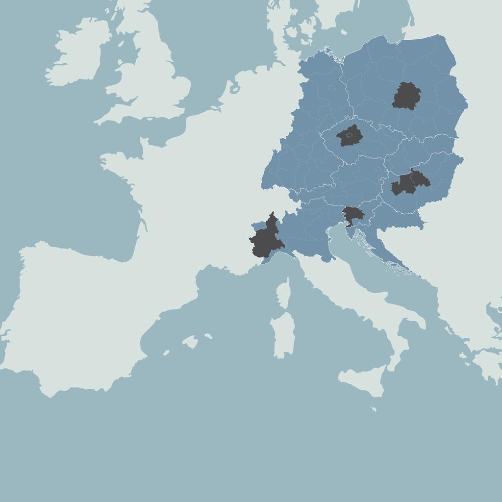 ISTITUTO NOFER DI MEDICINA OCCUPAZIONALE REPUBBLICA CECA ISTITUTO NAZIONALE DI SALUTE PUBBLICA POLONIA REGIONE DI LODZ ITALIA ISTITUTO SUPERIORE SUI SISTEMI TERRITORIALI PER L