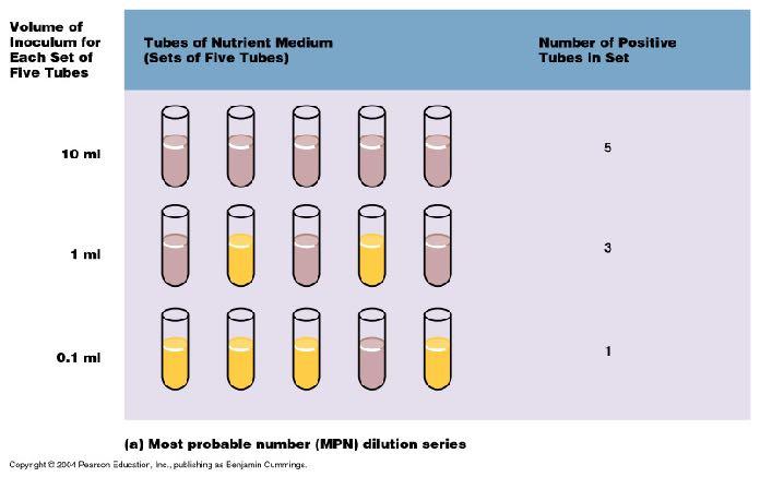MPN TEST Tale approccio metodologico si basa sull uso delle colture liquide La determinazione del