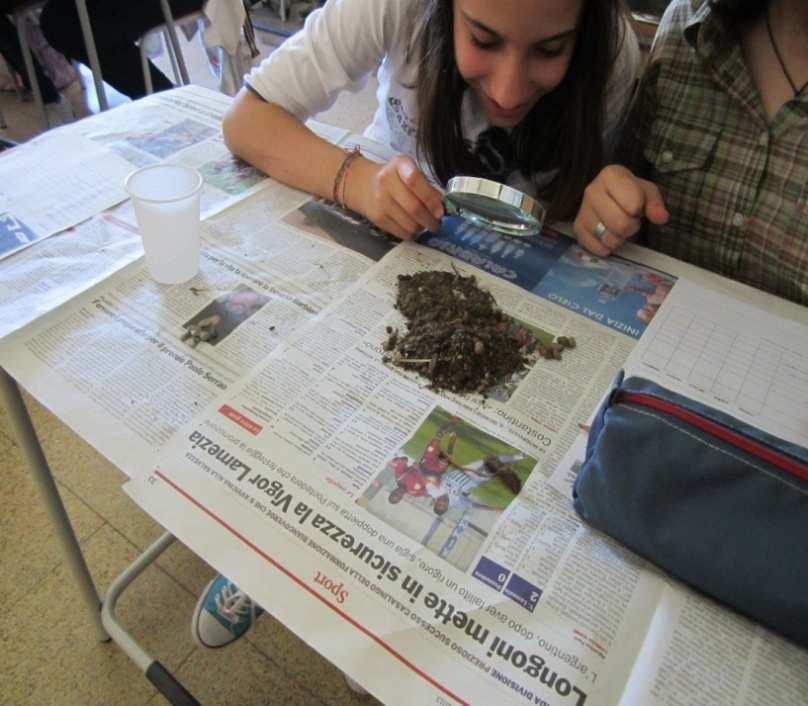 Procedimento e osservazioni: disponiamo ogni campione di terreno raccolto nel cortile della scuola su un pezzo di giornale e l osserviamo, vediamo che è costituito da una mescolanza di