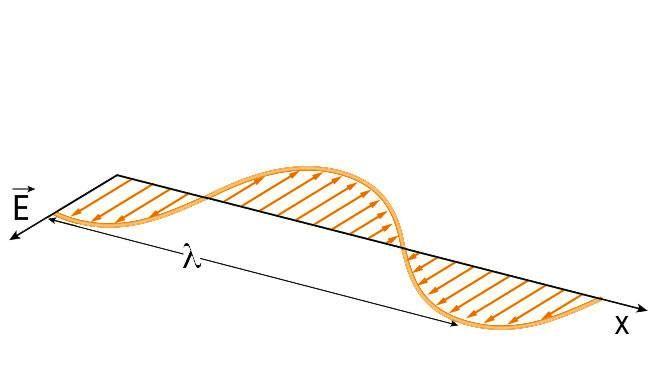 Nella luce, il campo elettrico (così come il campo magnetico) può oscillare (sempre perpendicolarmente alla direzione del moto dell onda) in modi molto diversi: