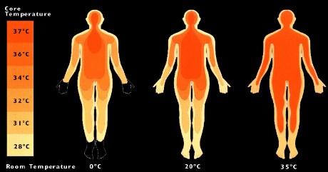 L OMOTERMIA DEL CORPO UMANO : un motore endotermico Per analizzare le condizioni di benessere un punto di partenza è dato dalla necessità di OMOTERMIA dell organismo umano cioè dalla necessità di