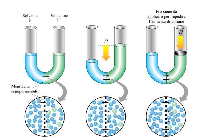 In pratica una soluzione, posta in un recipiente e separata da un certo volume di solvente puro mediante una membrana semipermeabile che consente