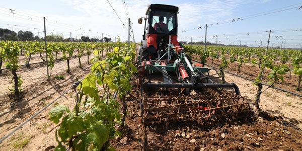 La profondità di penetrazione nel terreno, viene stabilita regolando l altezza del rullo posteriore, disponibile nelle varianti a sbarre e dentato.