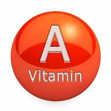 alimentari di vitamina A La nuova attrezzatura per il trasporto e la custodia dei