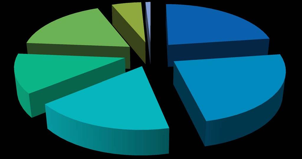 Distribuzione percentuale del campione