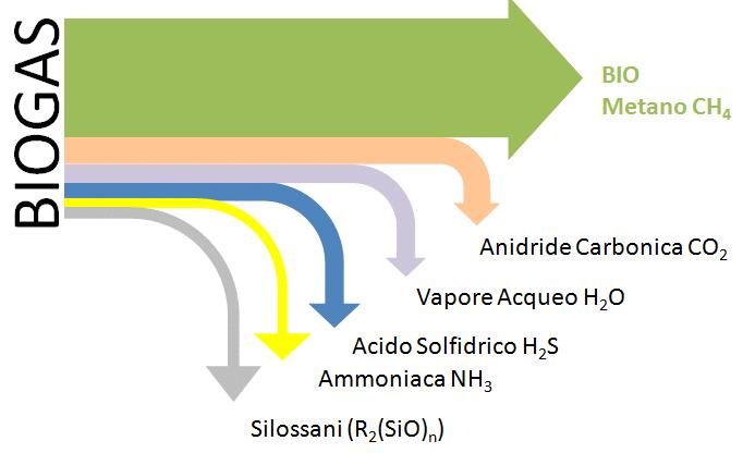 smaltimento, oltre che un