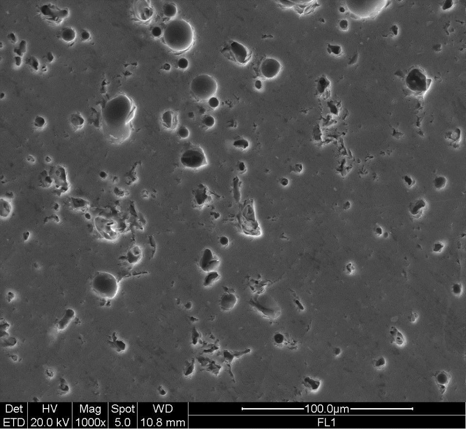 16. RISULTATI: microstruttura con SEM Stadio di