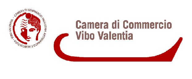 BANDO Concessione di Contributi alle PMI della provincia di Vibo Valentia per la realizzazione di piani promozionali di internazionalizzazione Rev.