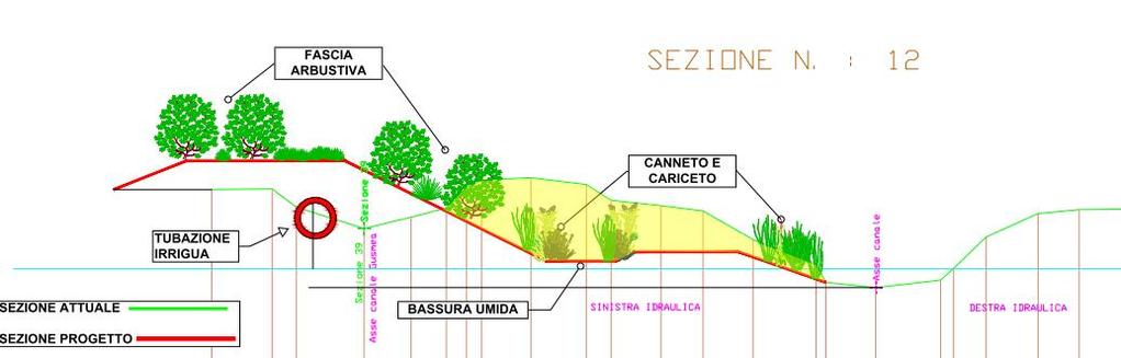 presenti, utili in particolare per ittiofauna, anfibi e avifauna.