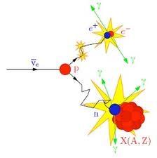 Leptoni La scoperta diretta del anti/neutrino elettronico: reazione beta inversa: 1) serve un grosso flusso di antineutrini a causa delle piccolissime sezioni d'urto 2) distinguere questa reazione da