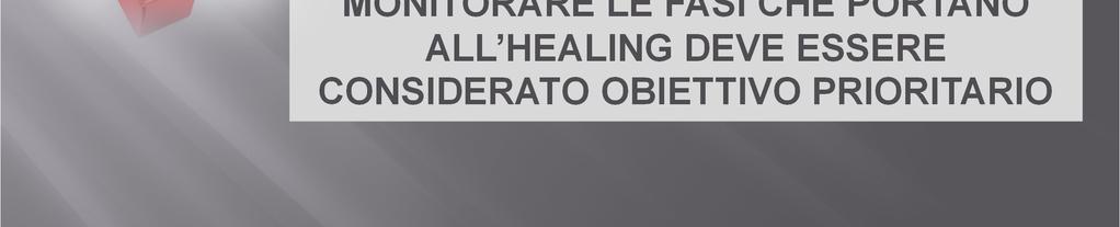 TIMECare MONITORARE LE FASI CHE PORTANO ALL HEALING DEVE ESSERE CONSIDERATO OBIETTIVO PRIORITARIO M. Carnali, M.D. D Elia, G. Failla, C. Ligresti, F.