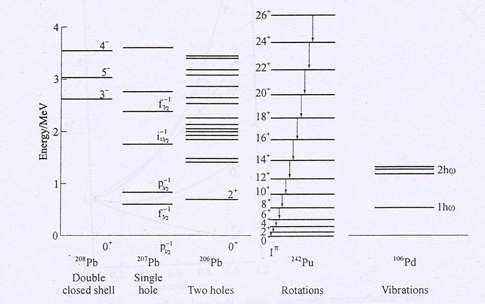 gli spettri energetici mostrano complessità diverse a seconda del numero n di nucleoni